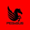 Pegasus Wheel